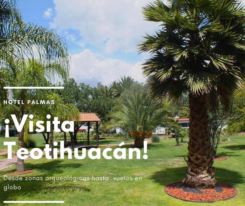 סאן חואן טאוטיחואקן Hotel Palmas Teotihuacan מראה חיצוני תמונה